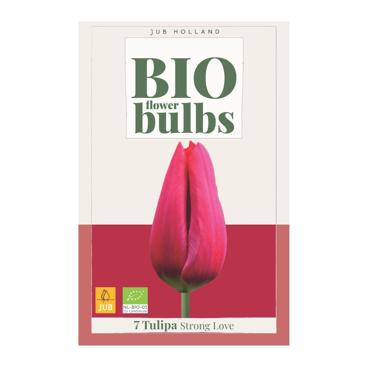 JUB Holland Bloembollen Tulp (Tulipa 'Strong Love') Biologisch 7 stuks