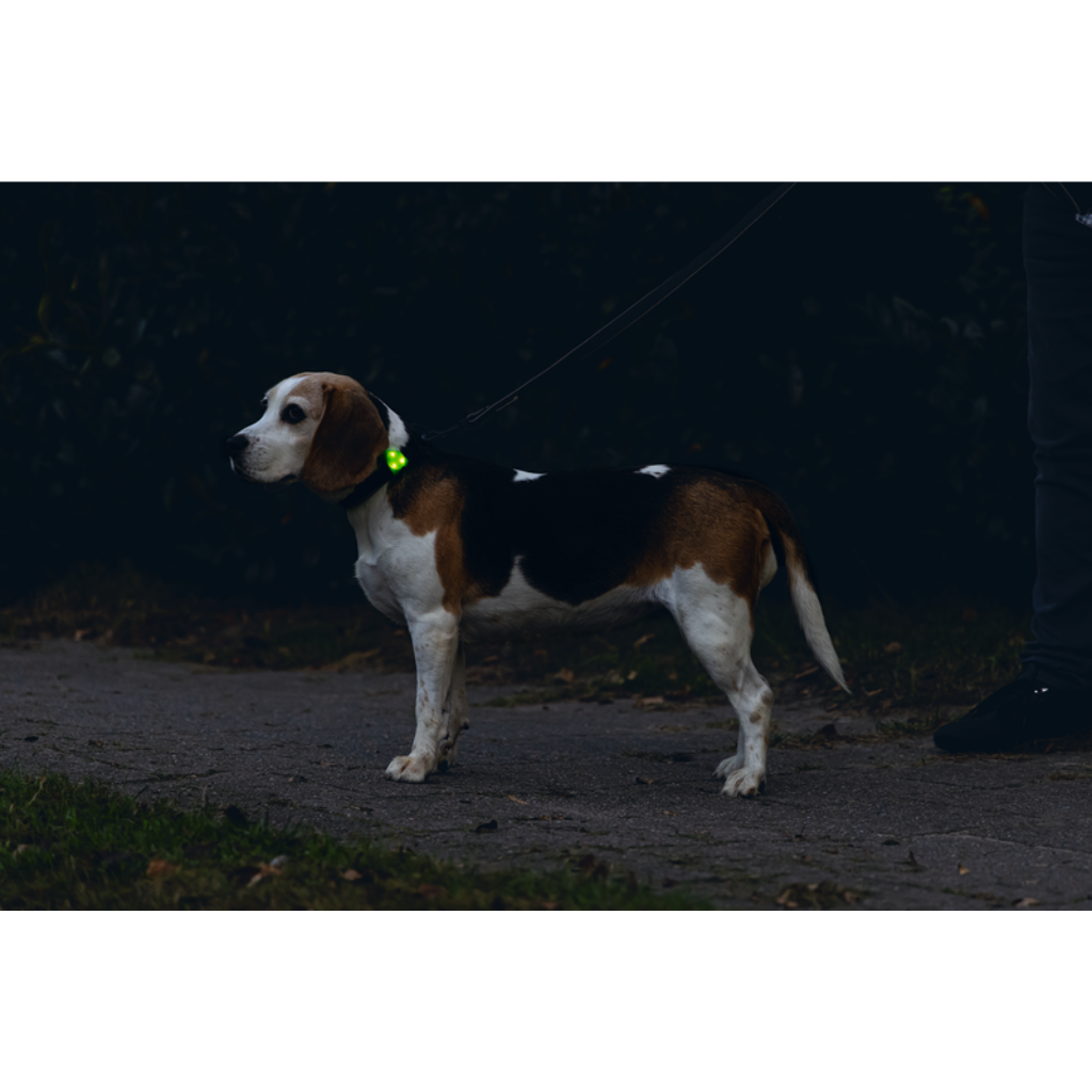 Beeztees veiligheidslampje Collite LED hond