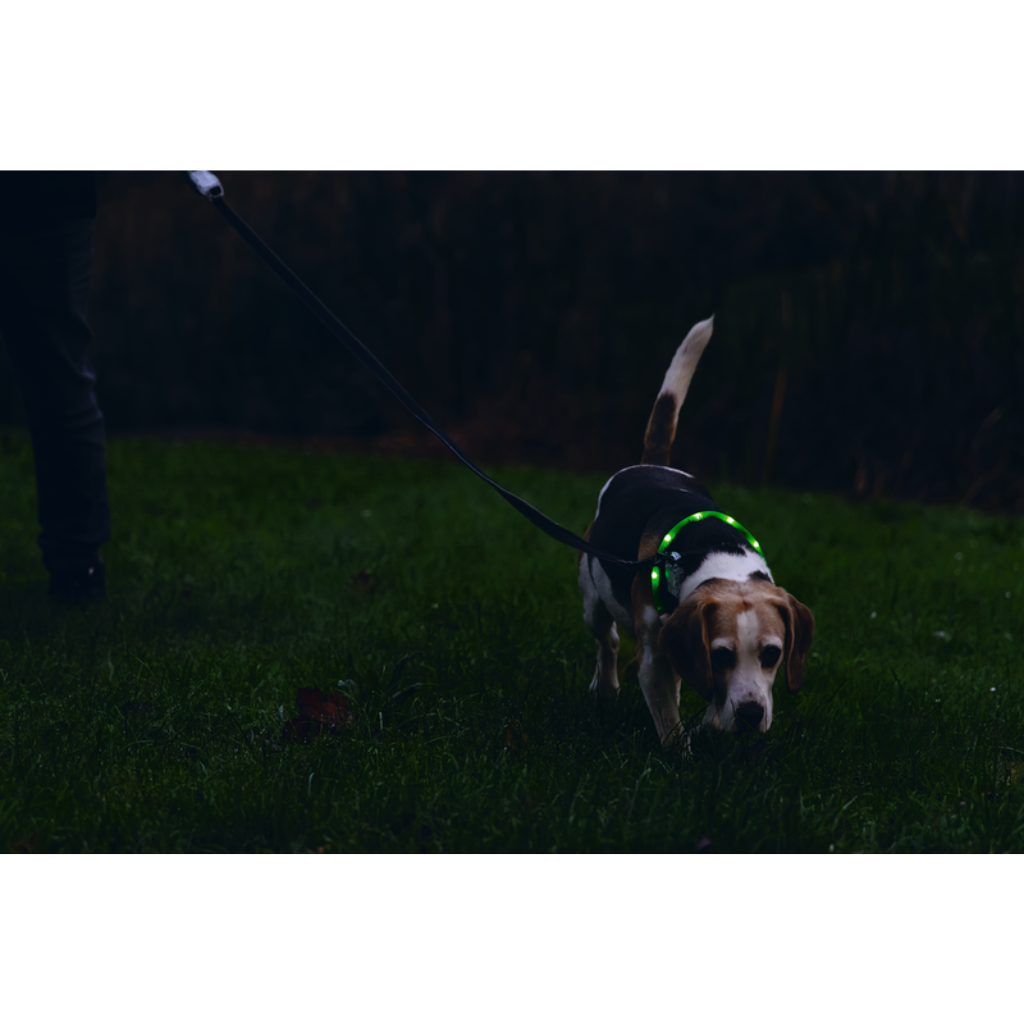 Beeztees Dogini veiligheidsband LED groen 35 cm