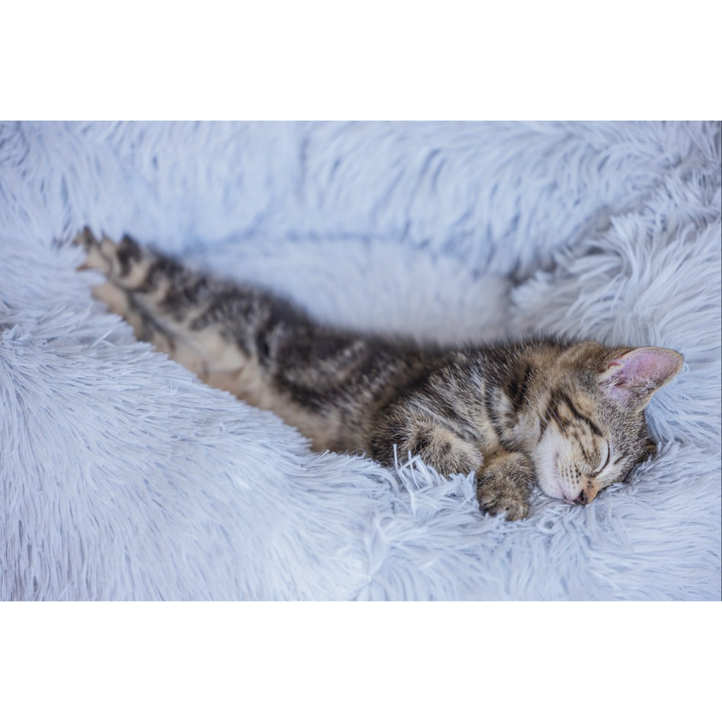 Beeztees Kattenmand Kitten Vako Pluche Grijs 50 x 50 x 18 cm