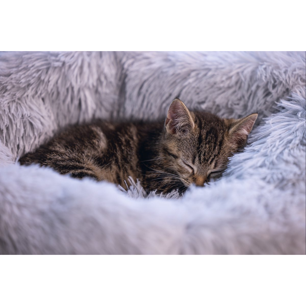Beeztees Kattenmand Kitten Vako Pluche Grijs 50 x 50 x 18 cm