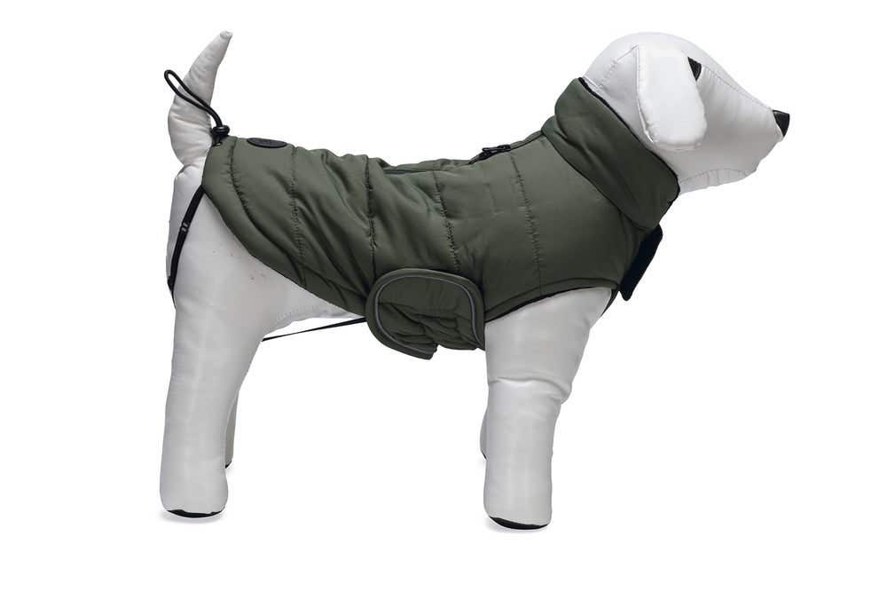 Designed by Lotte Hondenjas Zhanti groen L 52 cm