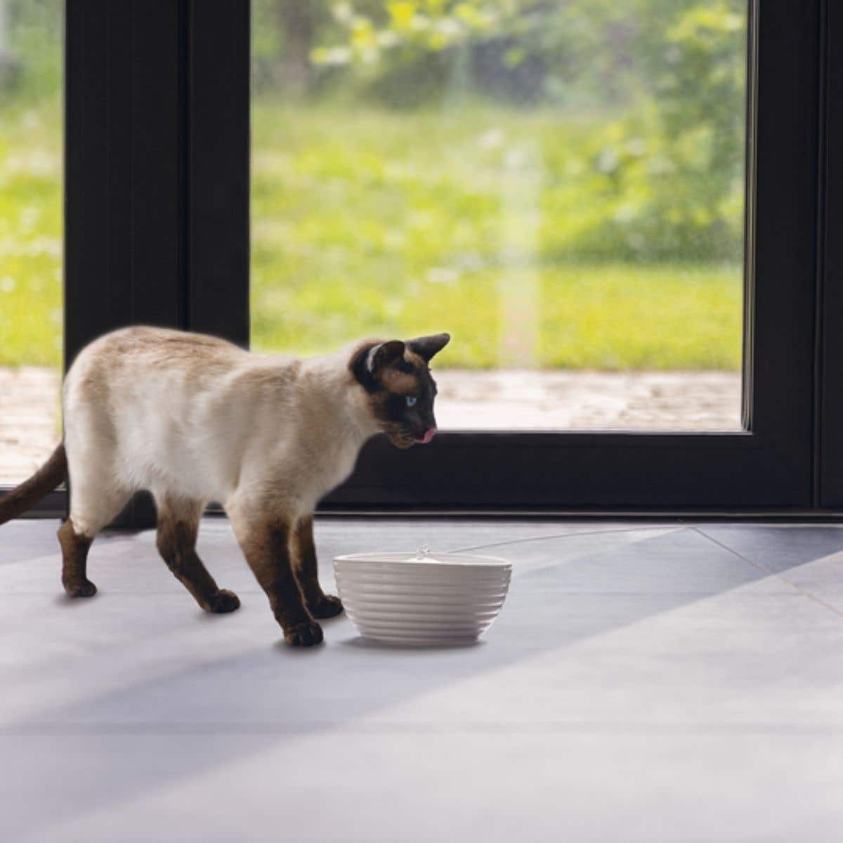 Beeztees Drinkfontein Kat Jaap Wit 1.5L 21 x 21 x 9 cm