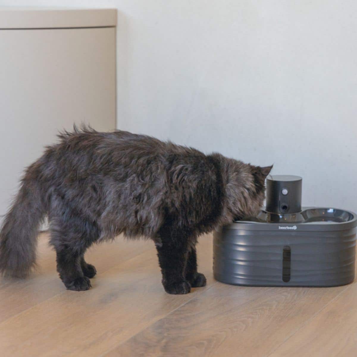 Beeztees Drinkfontein Kat Sef Antraciet 2.5L 26 x 17 x 17.5 cm