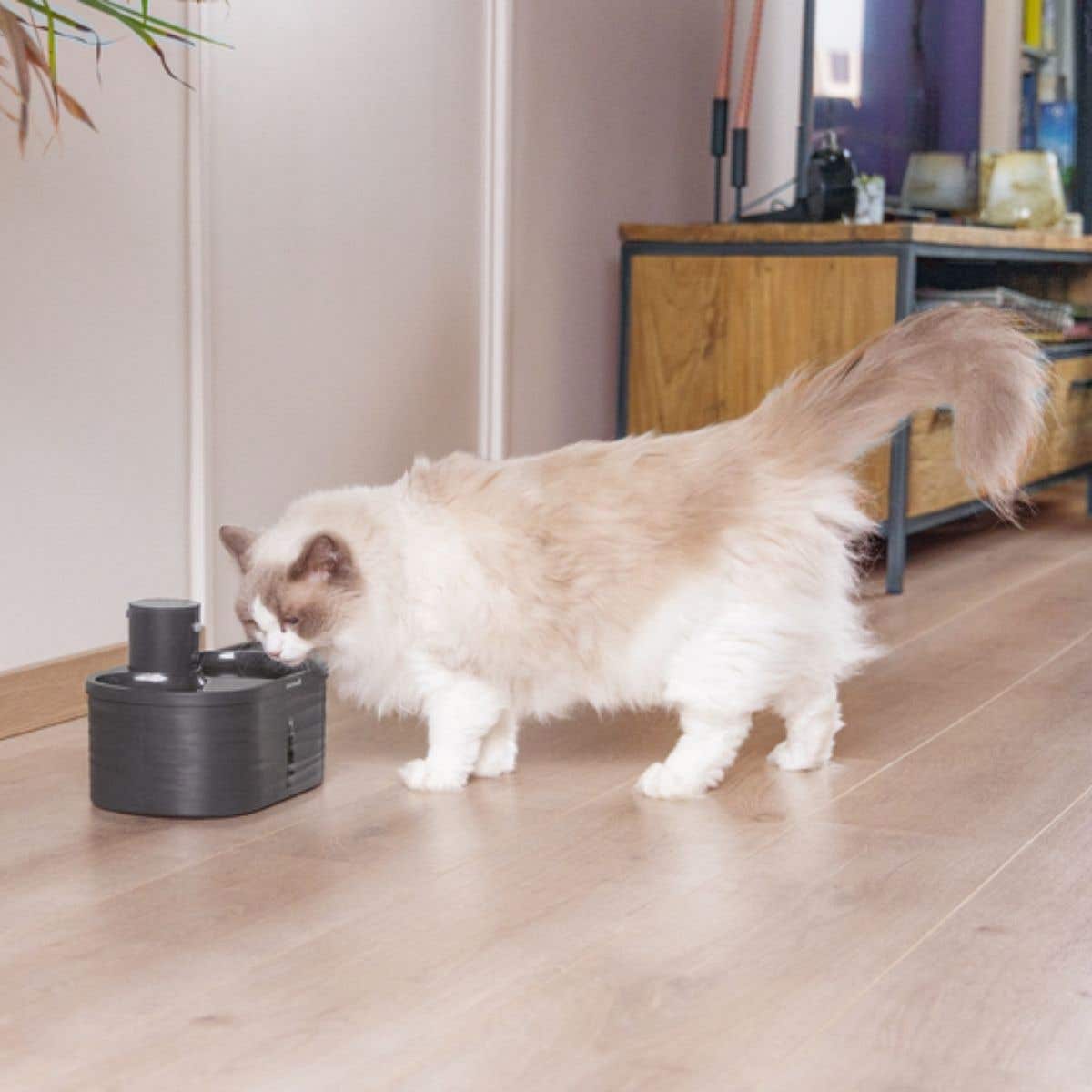 Beeztees Drinkfontein Kat Sef Antraciet 2.5L 26 x 17 x 17.5 cm