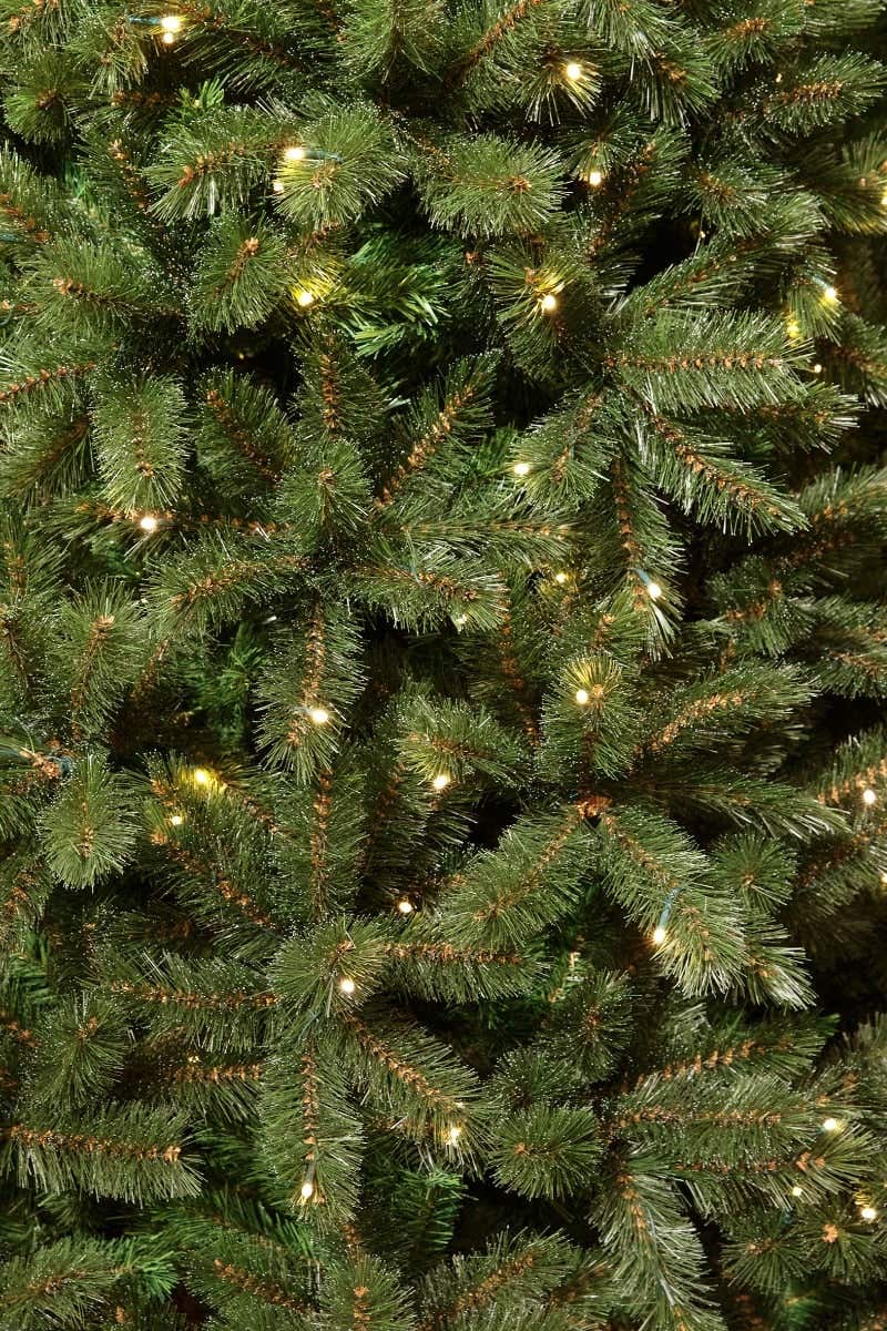 Triumph Tree Kunstkerstboom Forest Frosted Groen met Verlichting 155 x 119 cm