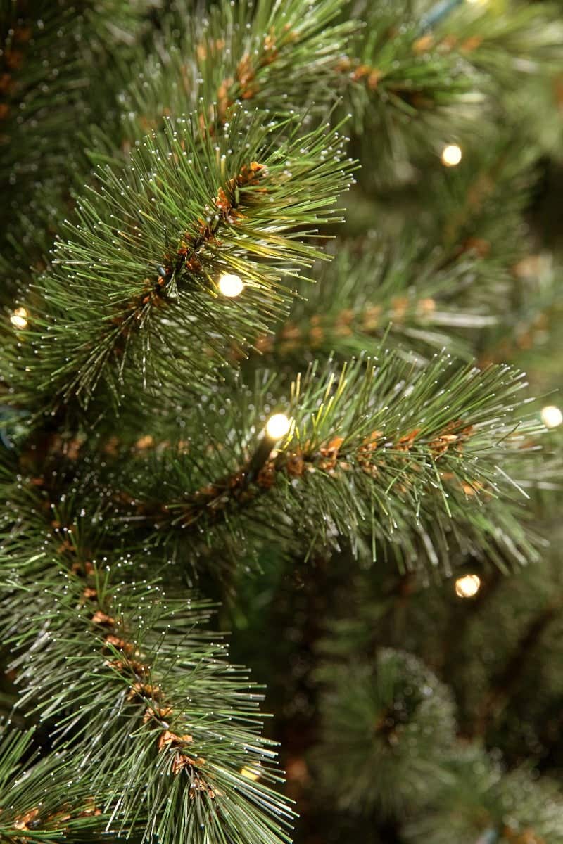 Triumph Tree Kunstkerstboom Forest Frosted Groen met Verlichting 155 x 119 cm