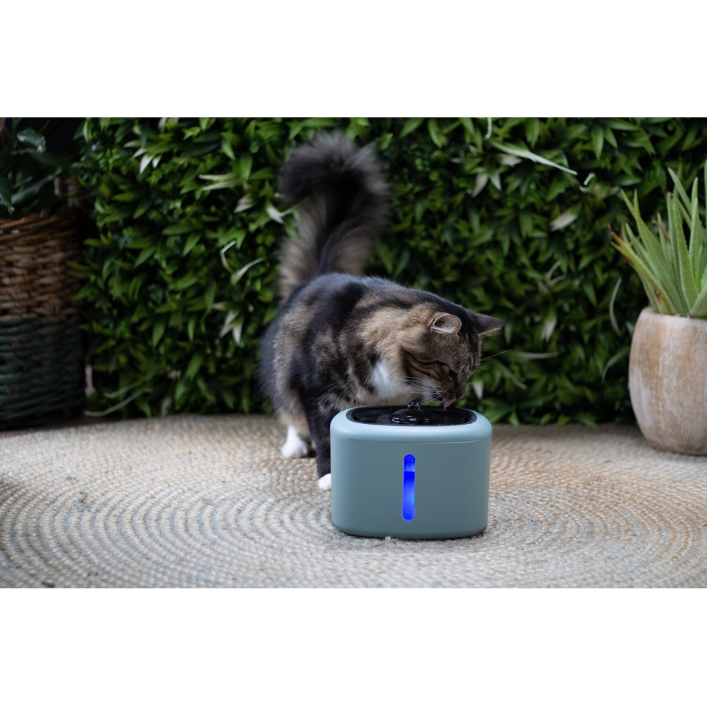Boon Drinkfontein aquabella mistle.green 2,5L