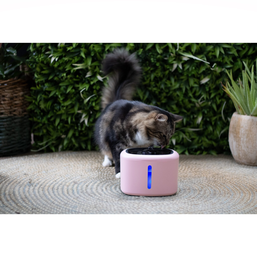 Boon Drinkfontein aquabella pink 2,5L