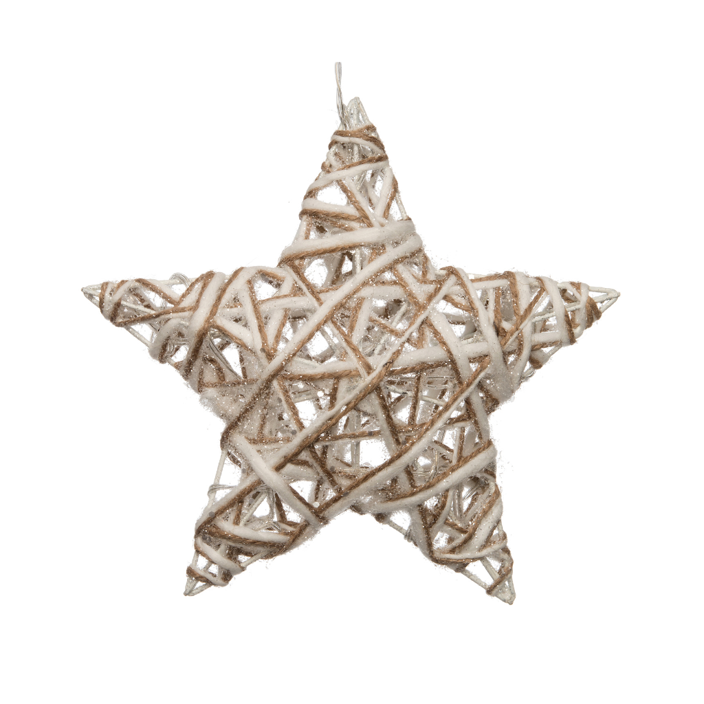 Anna's Collection Verlichte ster met LED warm wit 20 x 5 x 20 cm