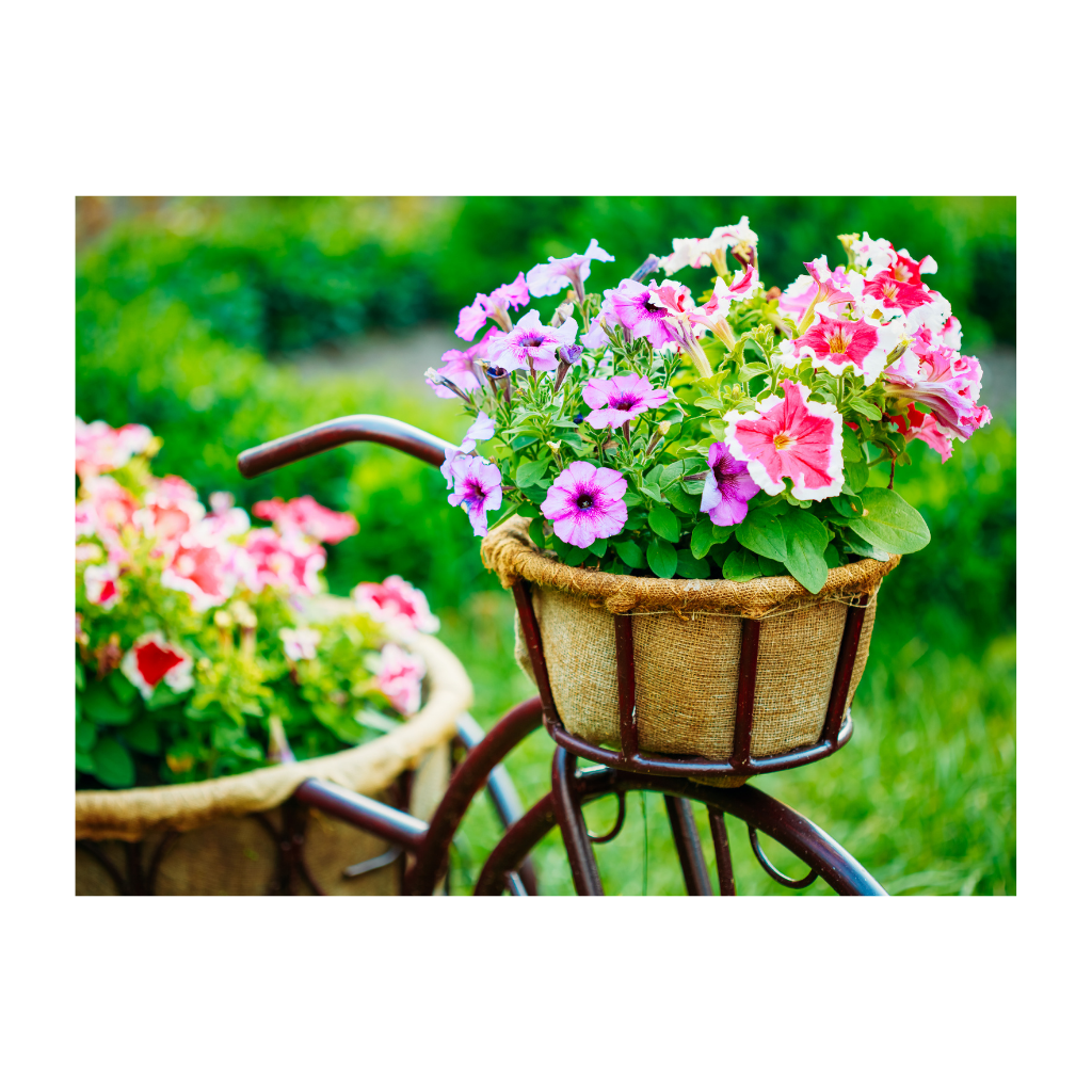 Anna's Collection Tuinposter Buitencanvas Fiets met Bloemen 58 x 78 cm