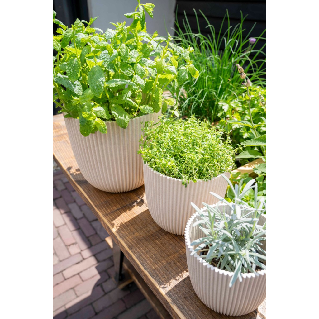 Capi Europe Pot bol Groove zaagsel beige