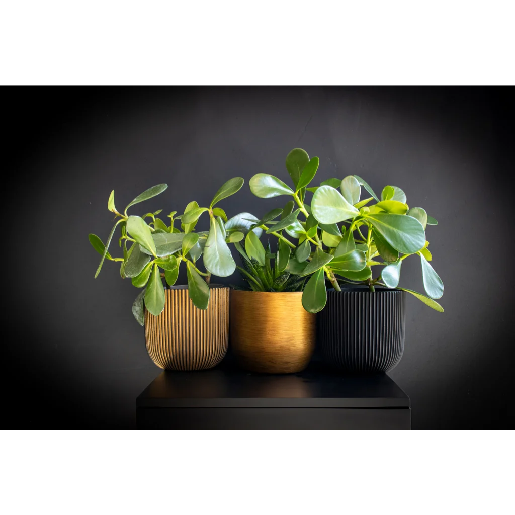 Capi Europe Bloempot Groove Warm Taupe 21.5 x 20 cm