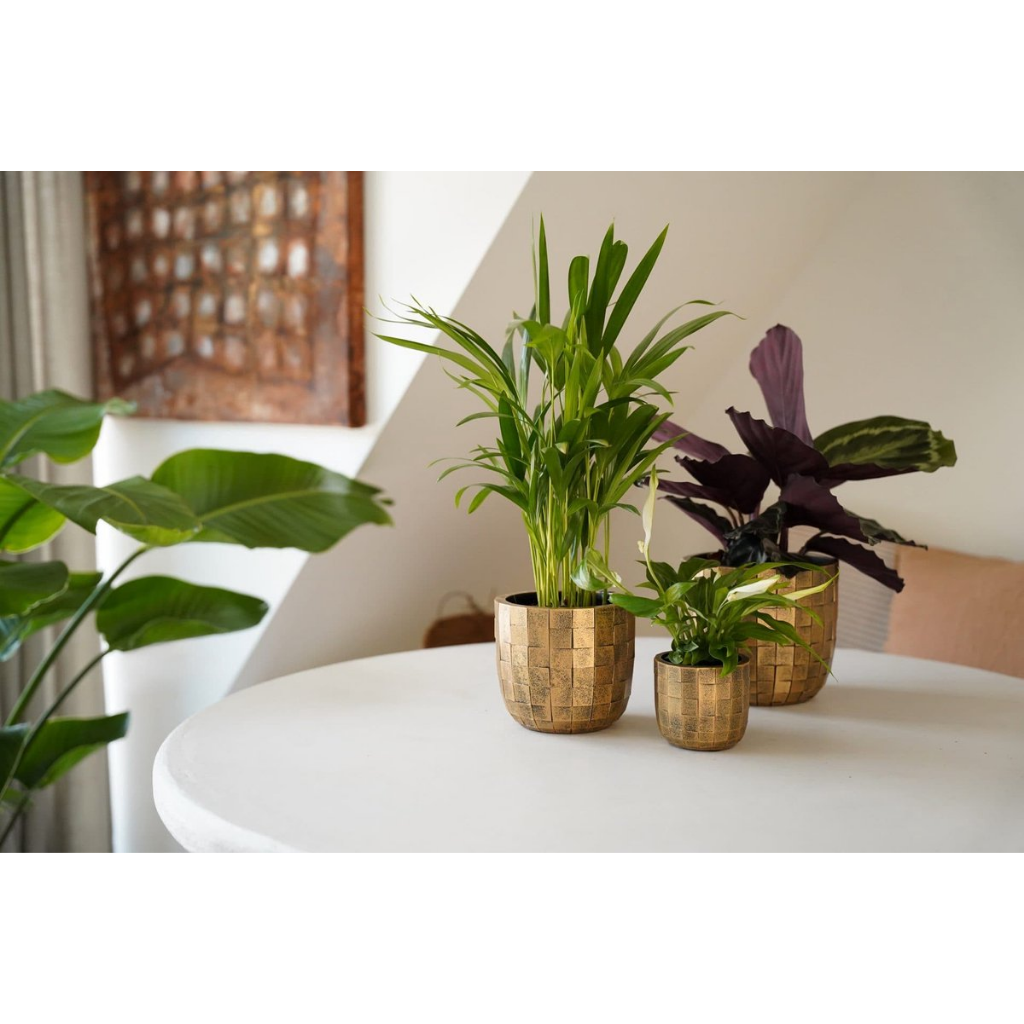 Capi Europe Bloempot Blocks Zwart Goud 24 x 21 cm
