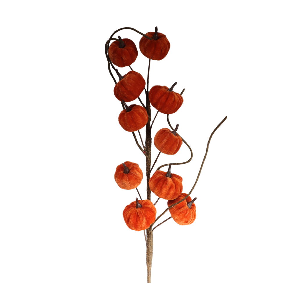Pompoen tak fluweel 70 cm