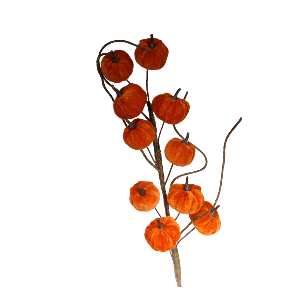 Pompoen tak fluweel 70 cm