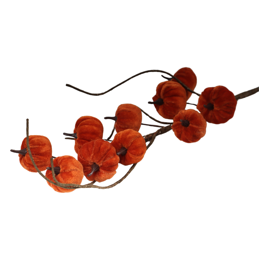 Pompoen tak fluweel 70 cm
