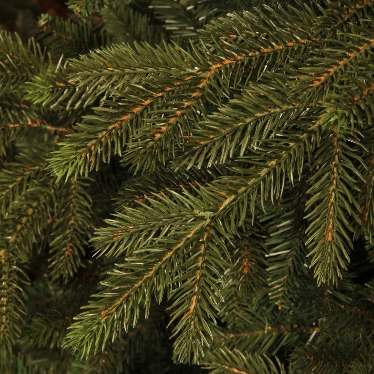 Black Box Trees Kunstkerstboom Macallan Groen 120 x 96 cm