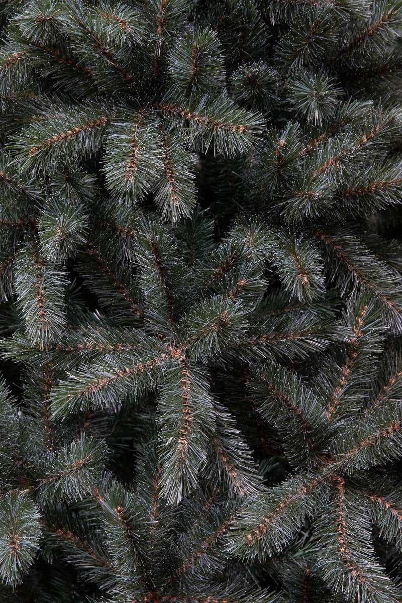 Triumph Tree Kunstkerstboom Forest Frosted Smal Blauw 260 x 140 cm