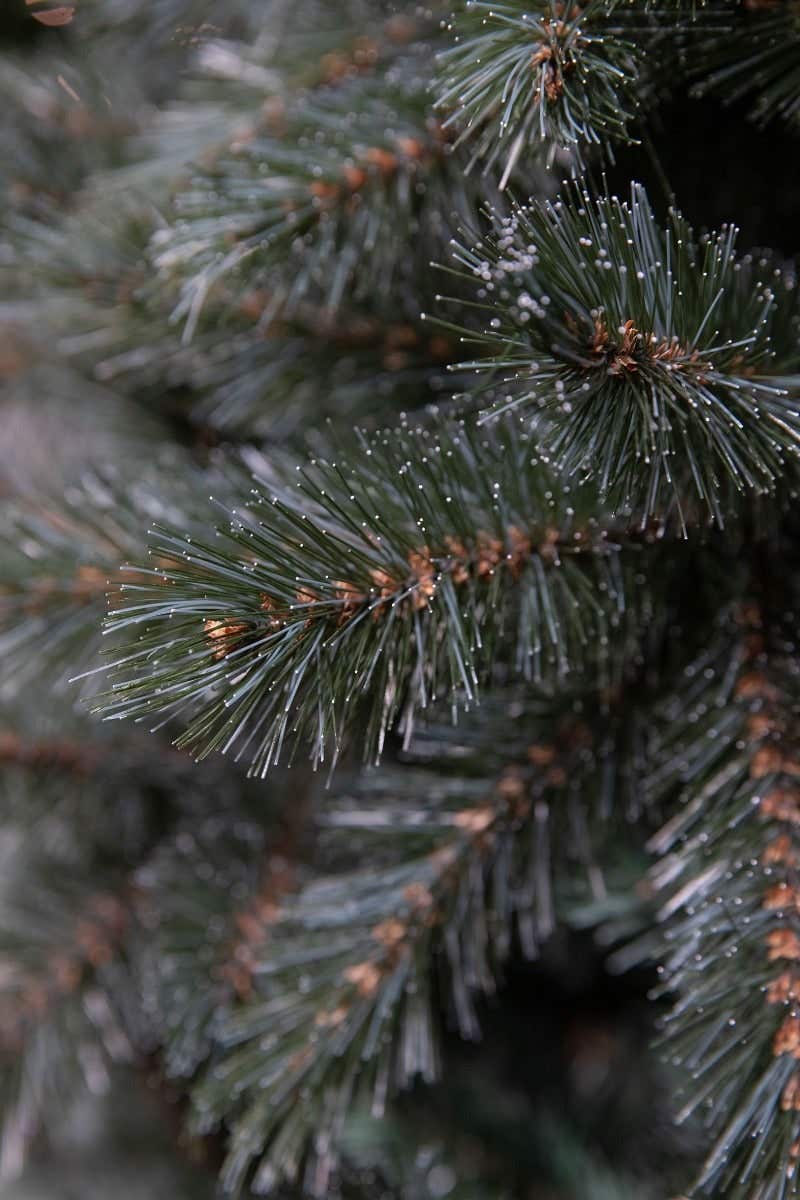 Triumph Tree Kunstkerstboom Forest Frosted Smal Blauw 260 x 140 cm