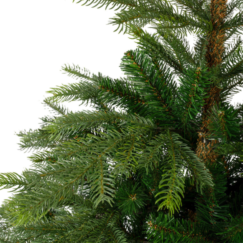 Braziliaanse geluksboom, Braziliaanse boom, Braziliaans gelukshout, 10 cm, met meditatiefiguur, Braziliaanse hydrocultuurplant, Braziliaanse lucky bamboe voor kantoor (k
