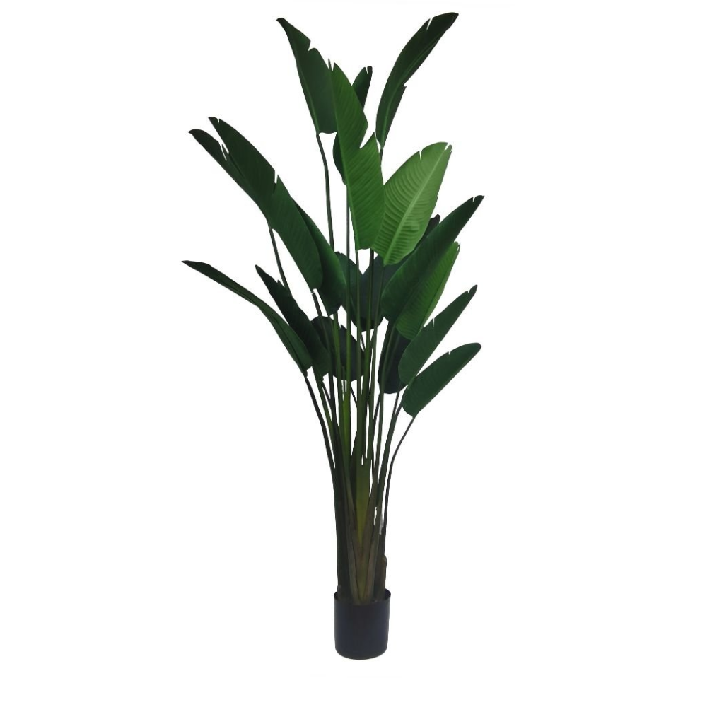 Kunstplant Strelitzia 245 cm