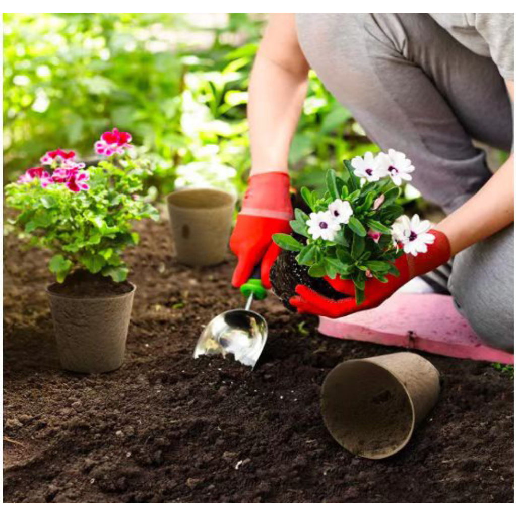 Kweekpotjes Bio 7.6 x 8 cm | 30 stuks