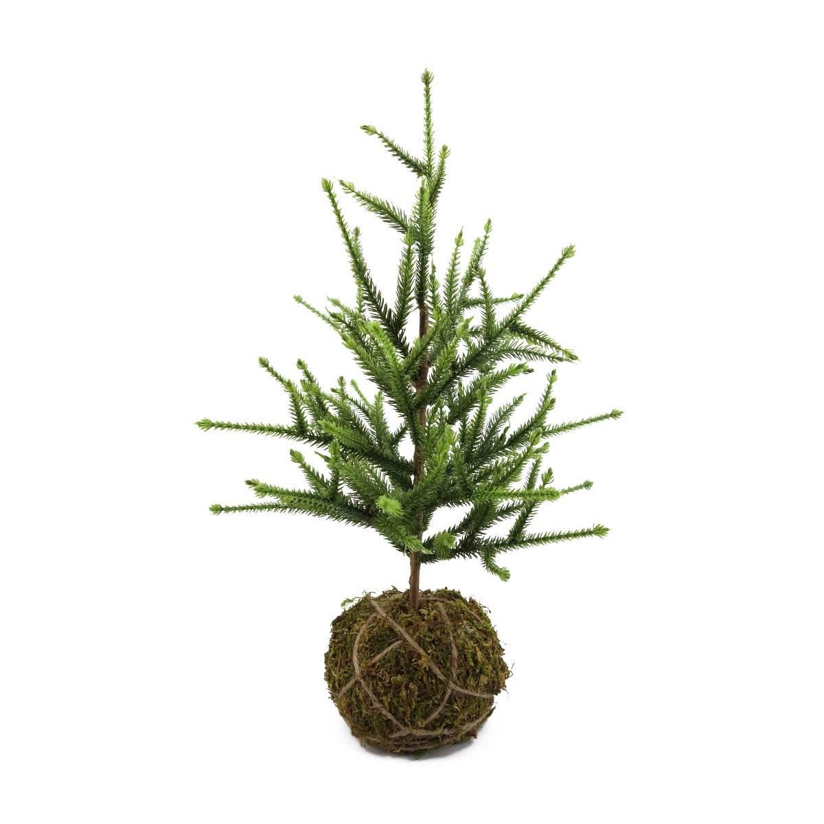Evergreen mini kerstboom moskluit groen 44 cm