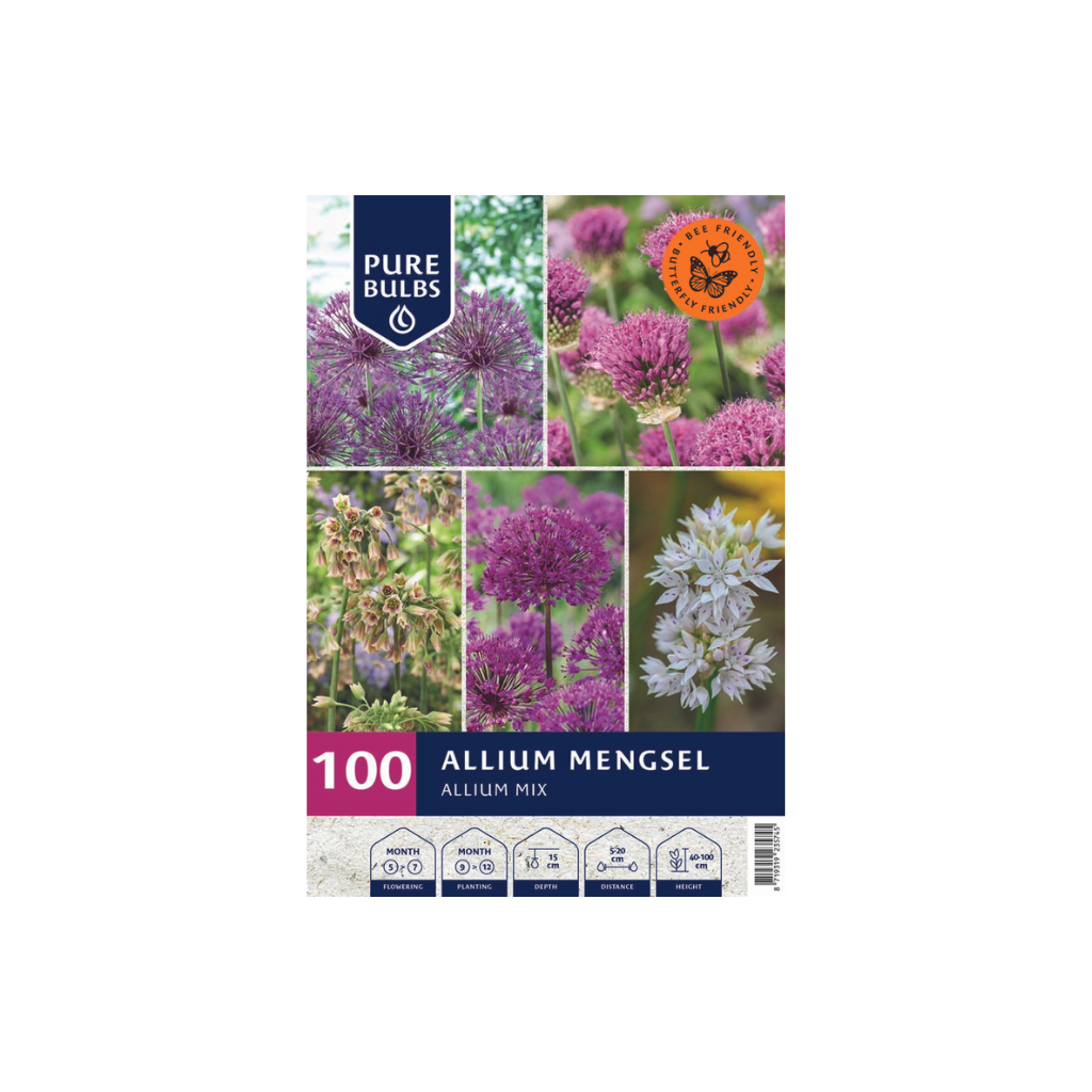 Pure Bulbs Allium Mengsel Allium Mix 100 bollen