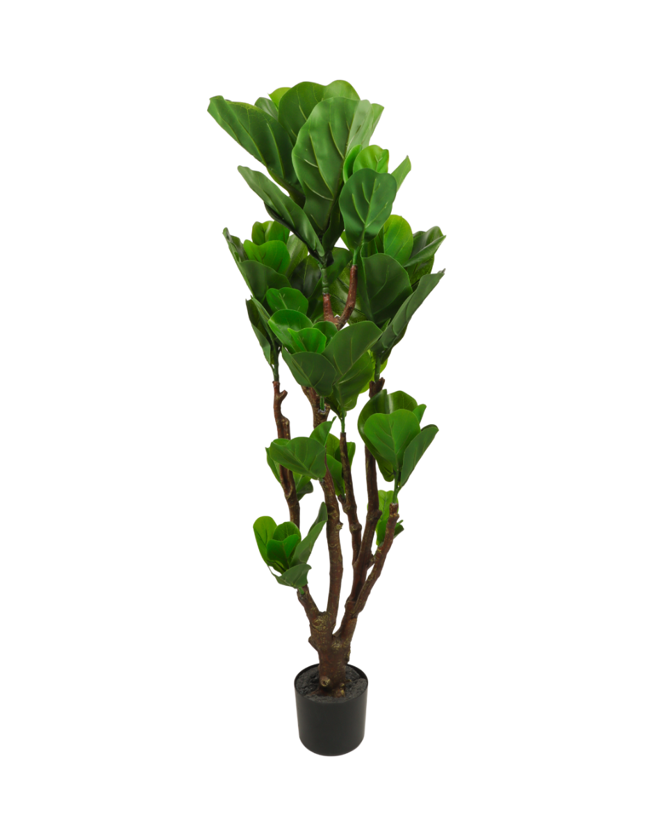 Kunstplant Ficus Lyrata 120 cm