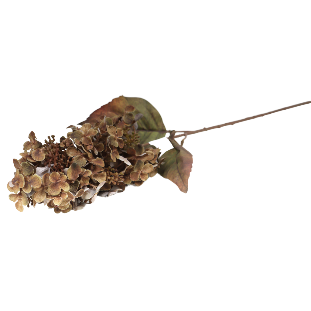 Sering bruin 70 cm