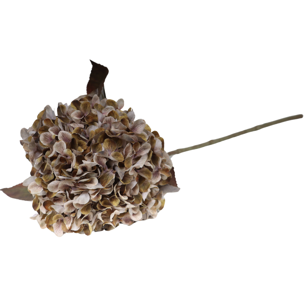 Hortensia beige 65 cm