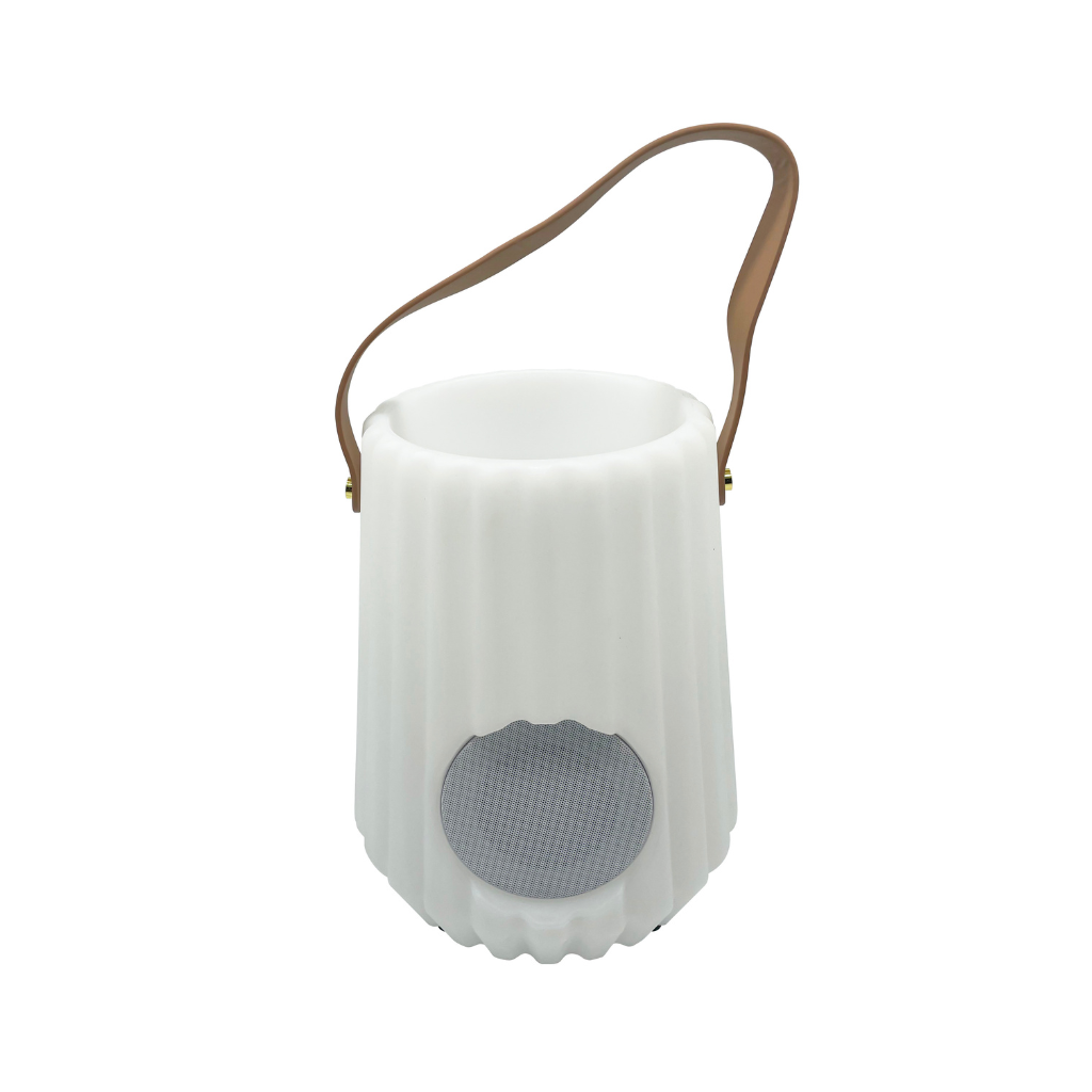 Fleskoeler met speaker en LED verlichting 24 x 30 cm oplaadbaar