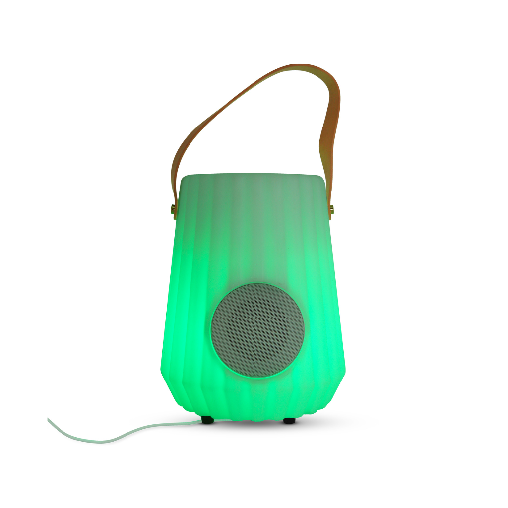 Fleskoeler met speaker en LED verlichting 24 x 30 cm oplaadbaar