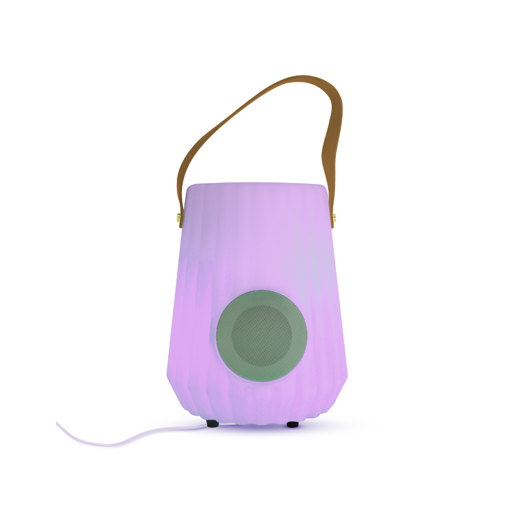 Fleskoeler met speaker en LED verlichting 24 x 30 cm oplaadbaar