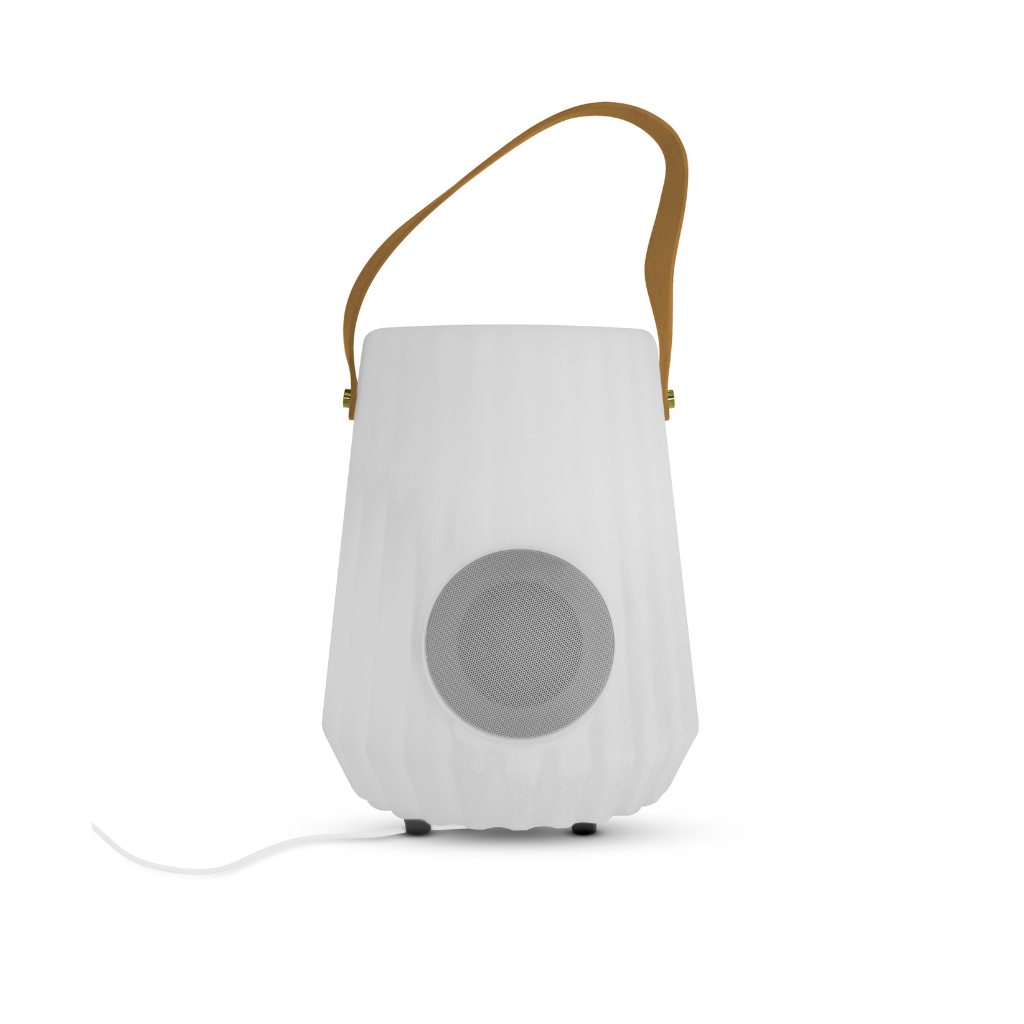 Fleskoeler met speaker en LED verlichting 24 x 30 cm oplaadbaar