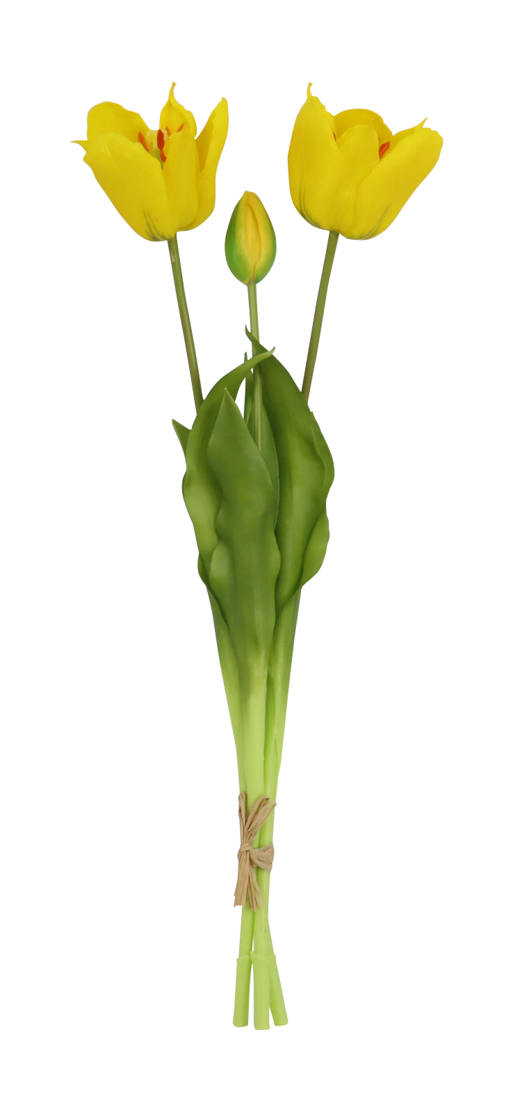 De Bosrand Tulpen Bloeiend Geel 3 Stuks 48 cm