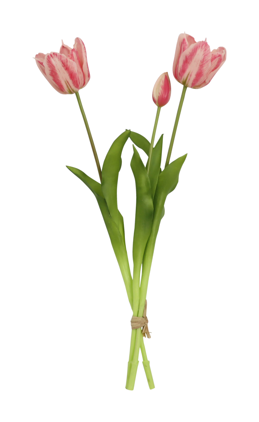 De Bosrand Tulpen Bloeiend Roze 3 Stuks 48 cm
