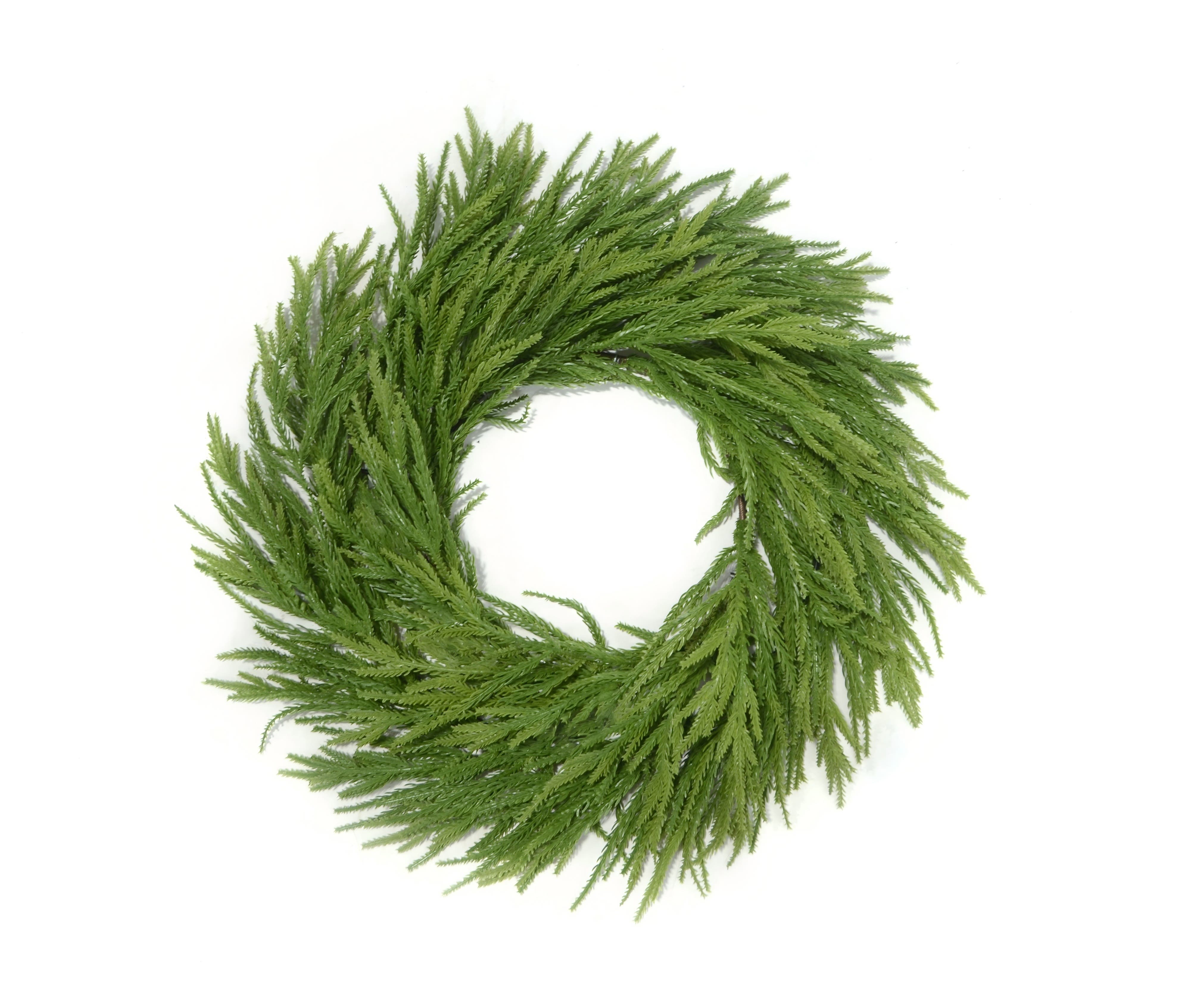 Norfolk krans 60 cm