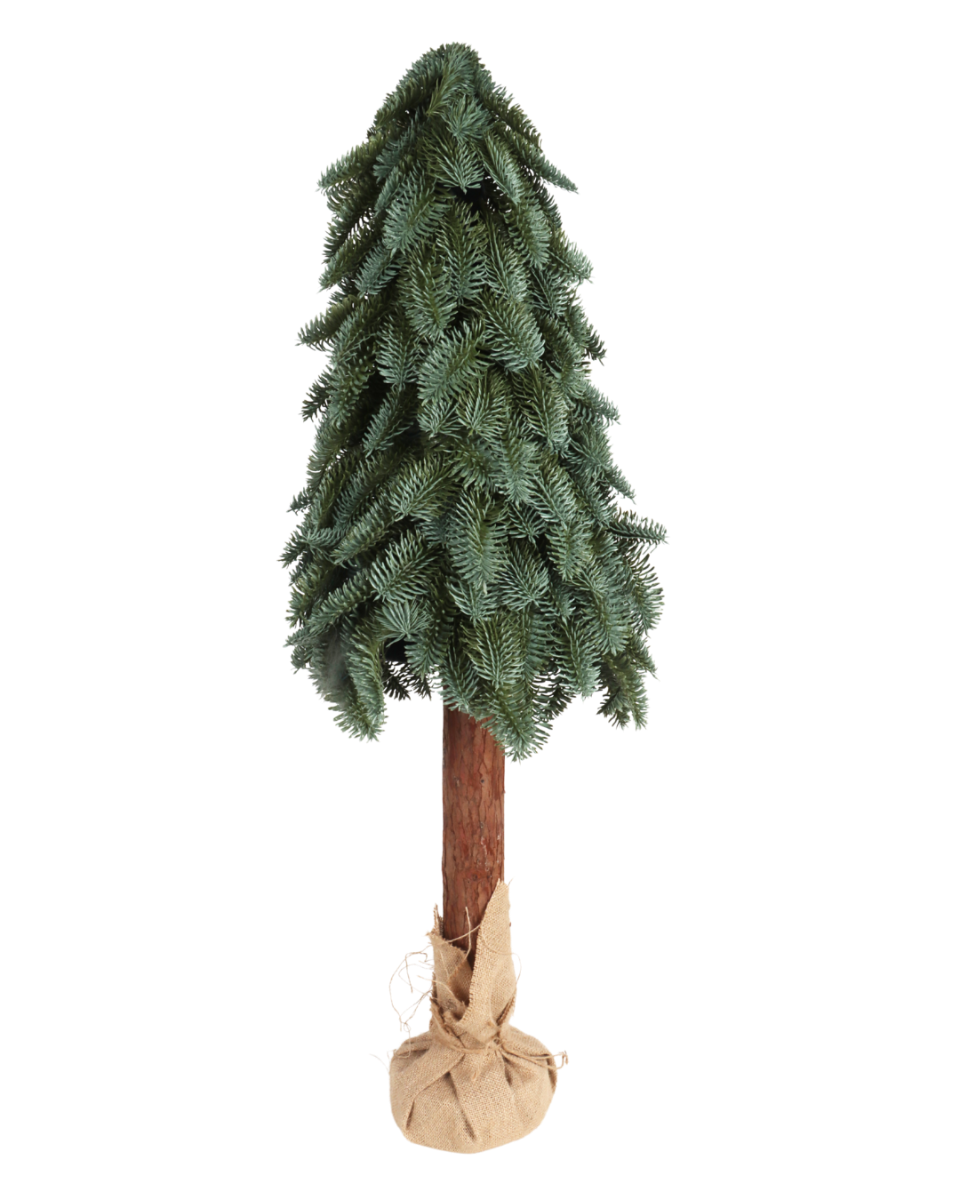 Nobilis boom op stam 100 x 50 cm