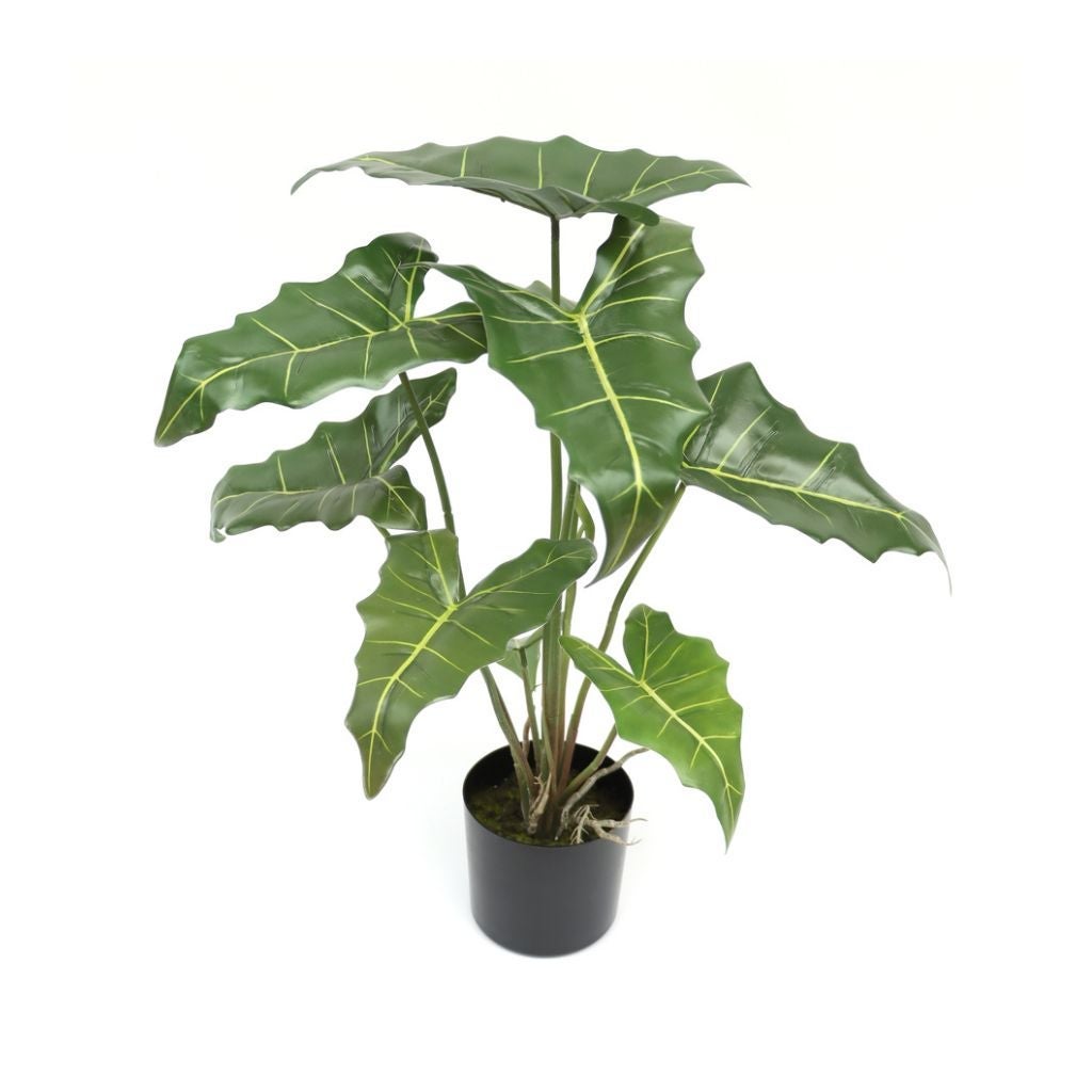 Kunstplant Alocasia 58 cm