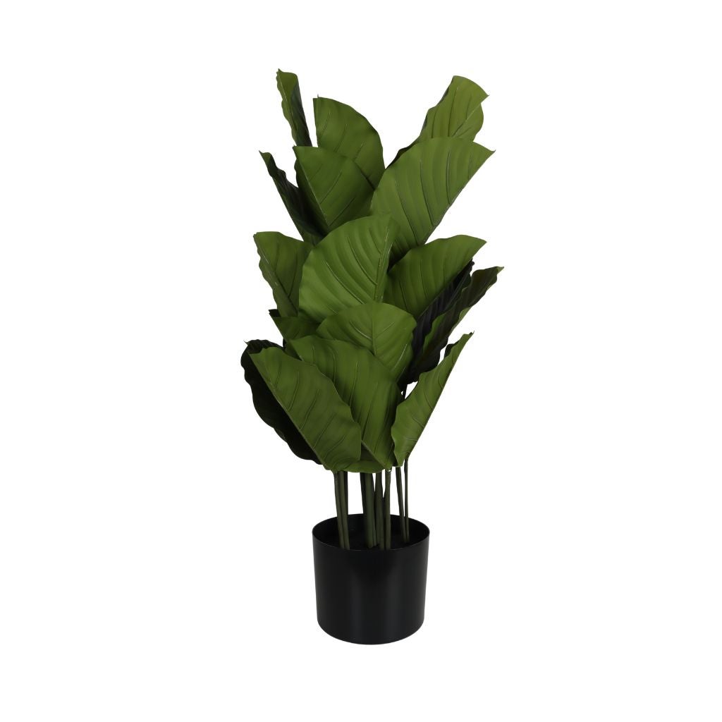 Kunstplant Rohdea H 115 cm