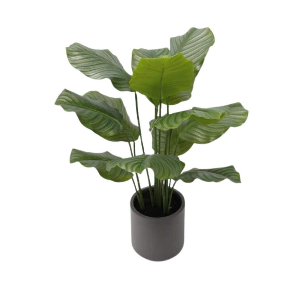 Kunstplant Rohdea 85 cm