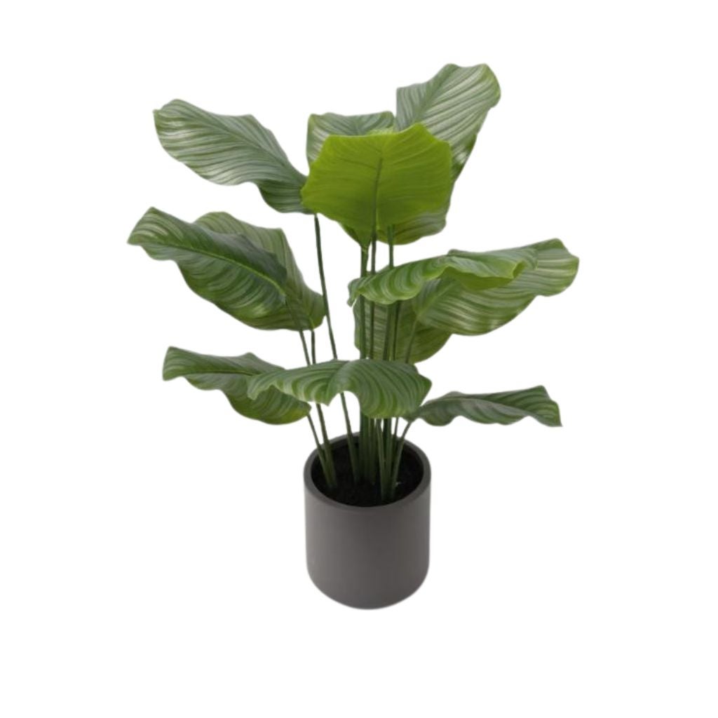 Kunstplant Rohdea 85 cm