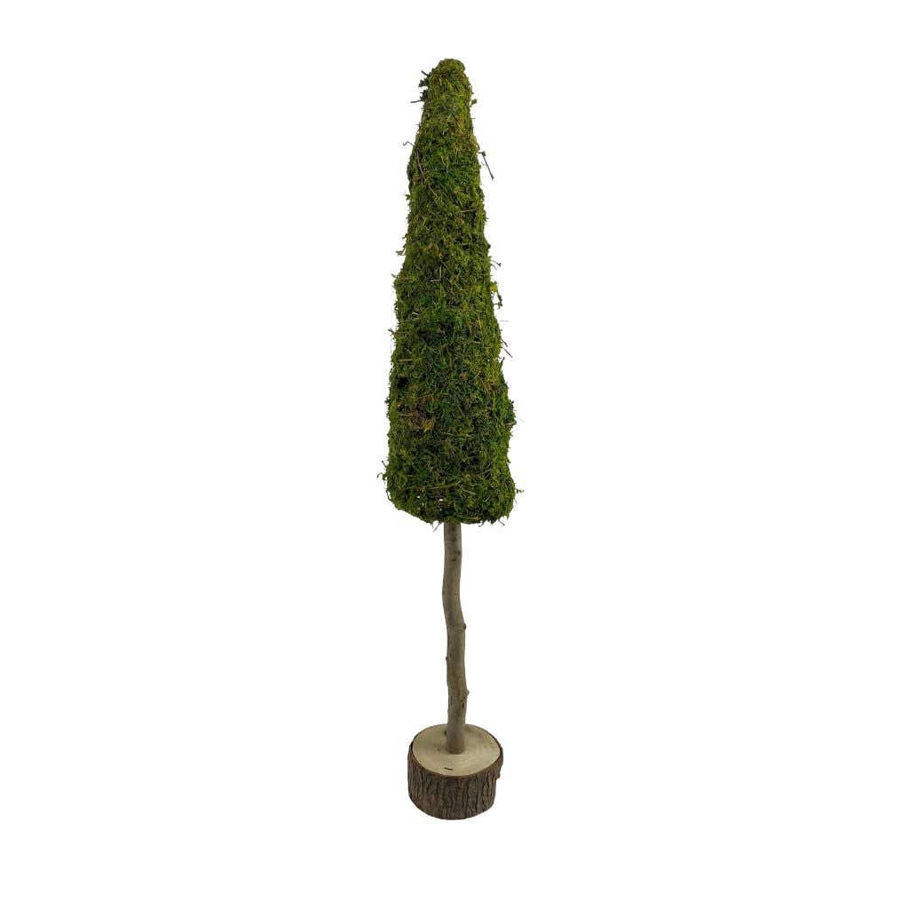 Boom op stam mos 13 x 80 cm