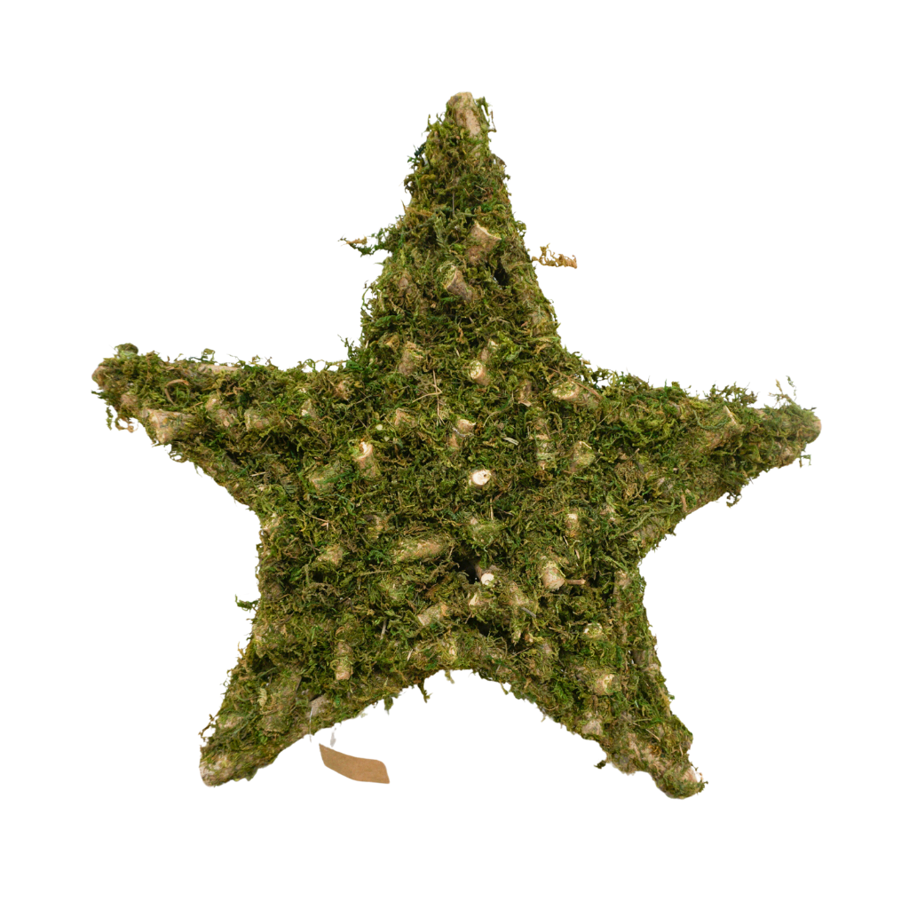 Ster met mos 40 x 40 x 7 cm