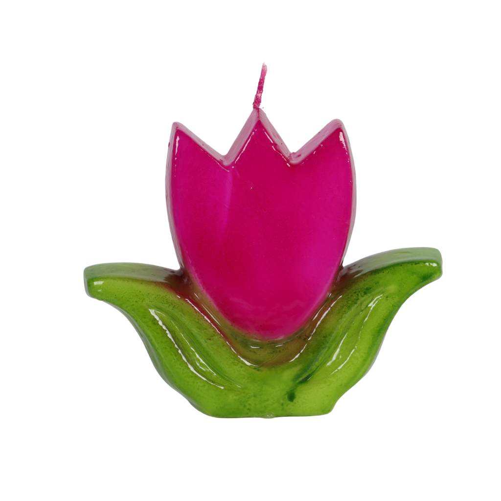 Kaars tulp donkerroze 14 x 4 x 12 cm
