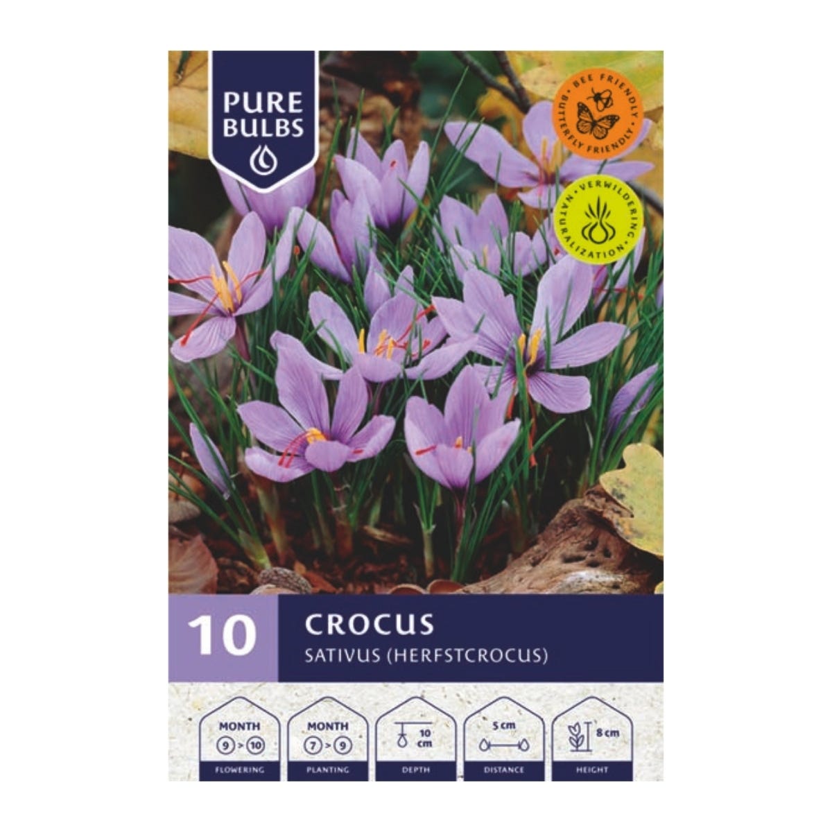 Pure Bulbs Bloembollen Krokus (Crocus 'Sativus') 10 stuks