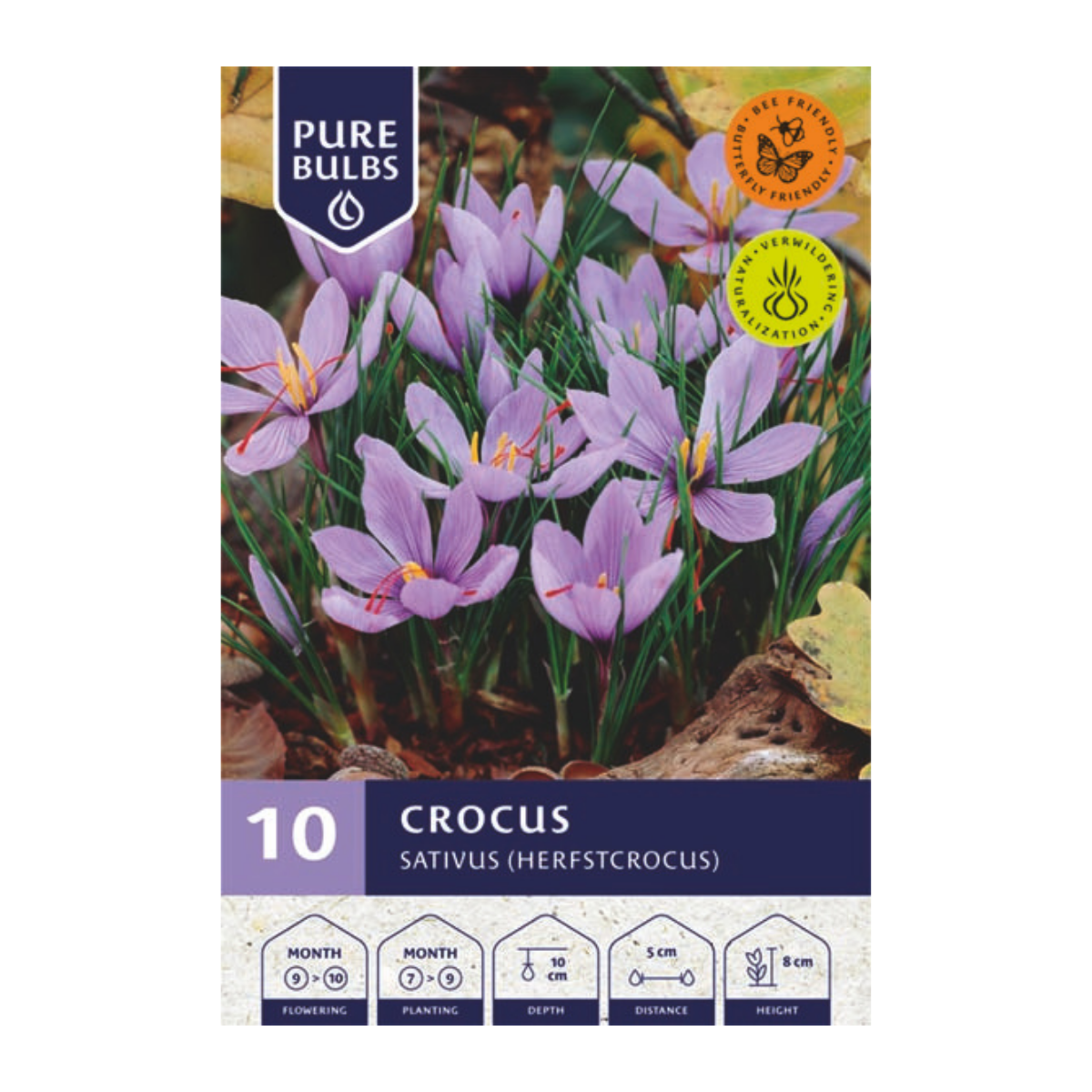 Pure Bulbs Bloembollen Krokus (Crocus 'Sativus') 10 stuks