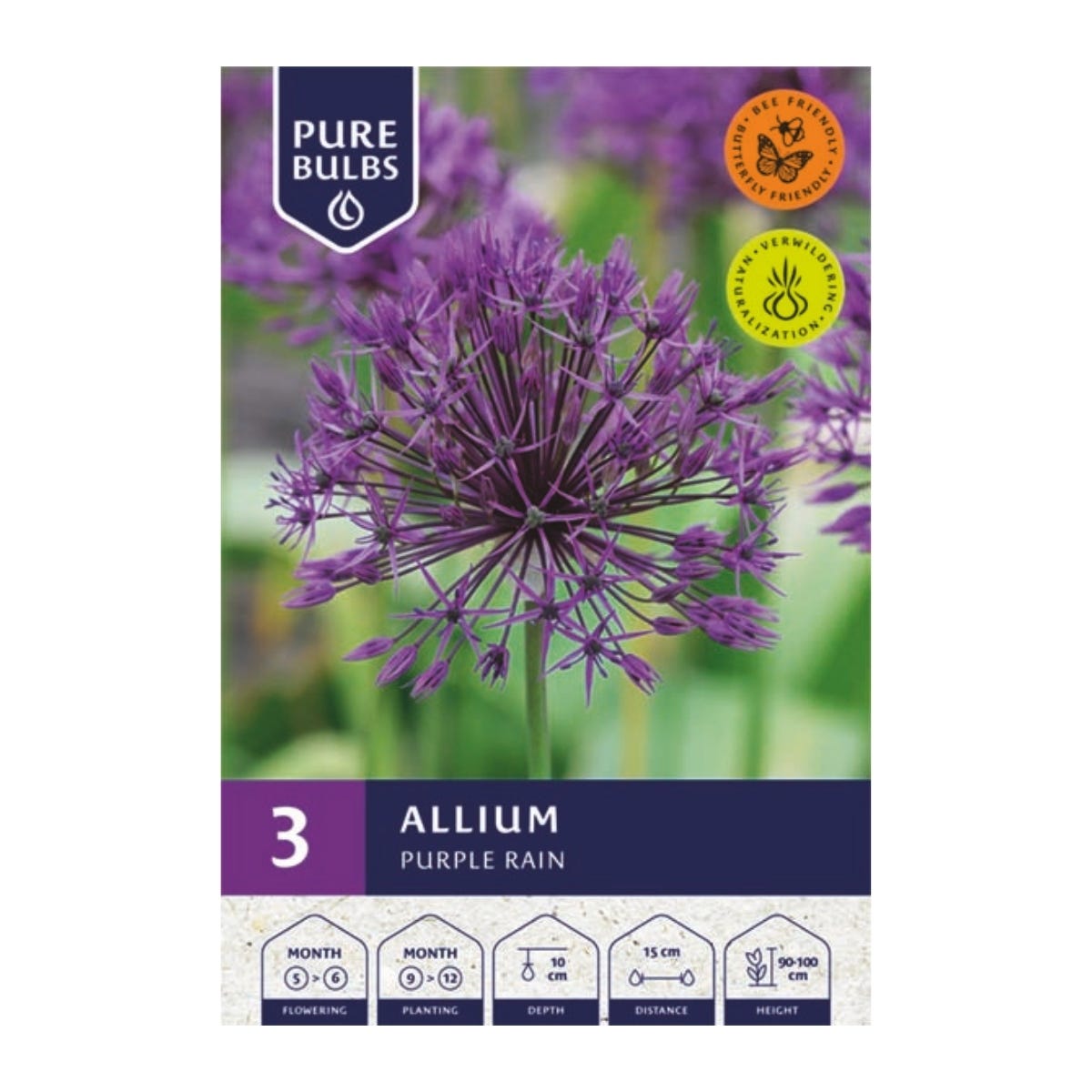 Pure Bulbs Bloembollen Sierui (Allium 'Purple Rain') 3 stuks